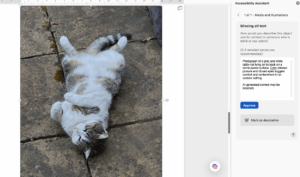 A mostly white tabby cat lies on its back on a worn stone patio, with a text panel to the right. The panel contains instructions for writing alt text in 1 or 2 sentences and warns that AI-generated text may be incorrect.