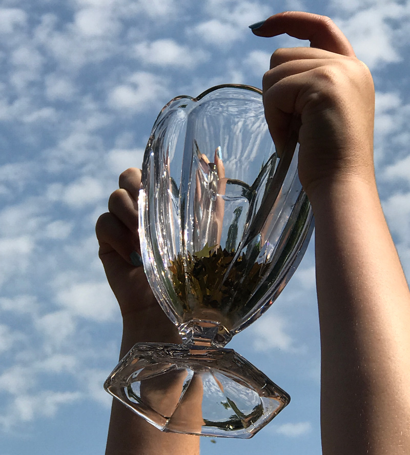 Hands holding up a glass trophy to illustrate award-entry writing